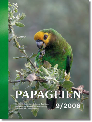 PAPAGEIEN-Abo
