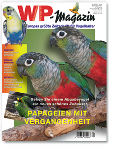 WP-Magazin-Abo